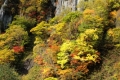 天人峡の紅葉